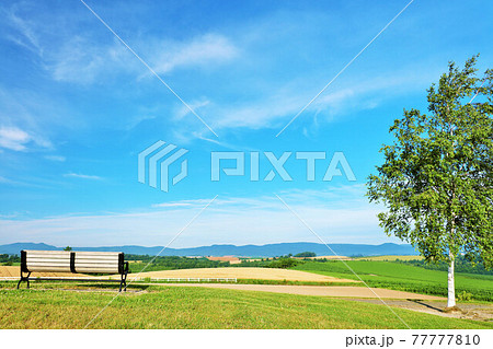 北海道 夏の青空と美瑛の風景の写真素材