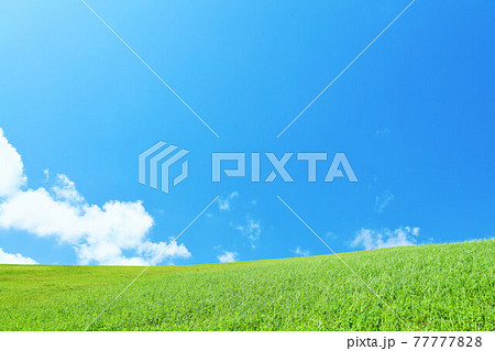 夏の青空と新緑の草原風景 77777828