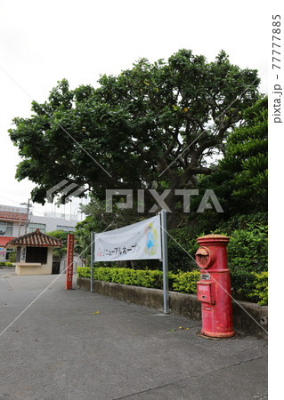 沖縄 糸満 丸ポストのある風景(ひめゆりの塔入口) 沖縄 糸満 丸ポストのある風景(ひめゆりの塔入口) 77777885