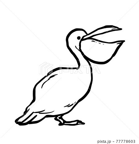 シンプルなペリカンのイラストのイラスト素材