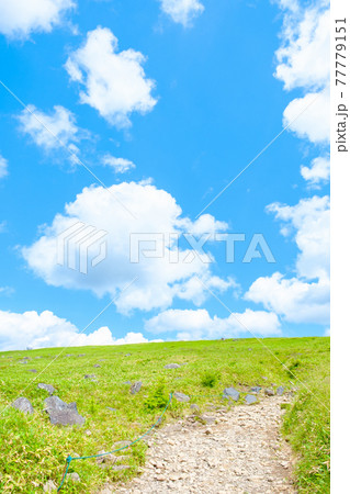 爽やかな高原風景(夏) 爽やかな高原風景(夏) 77779151