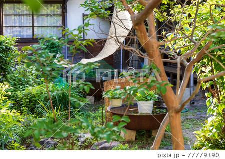 和風民家の庭、植木、鉄製の池、すだれ、ガラス窓 77779390