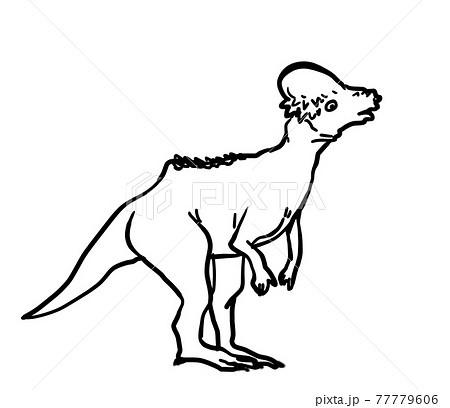 リアルなパキケファロサウルスの線画のイラスト素材