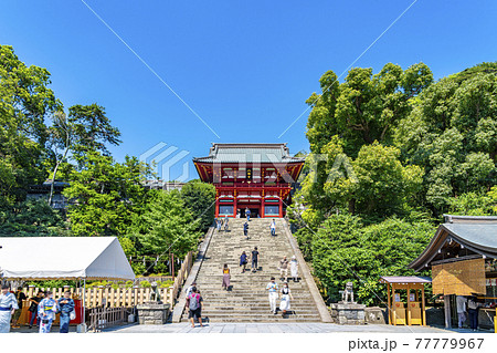 【神奈川県】鎌倉 晴れ渡った鶴岡八幡宮の本宮と大石段 【神奈川県】鎌倉 晴れ渡った鶴岡八幡宮の本宮と大石段 77779967