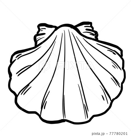 リアルなホタテの線画のイラスト素材