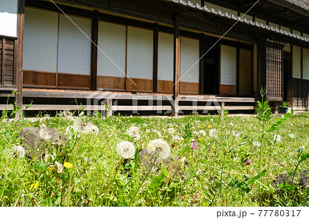 古民家の庭の写真素材