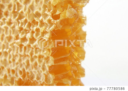 honeycomb closeup on white background 77780586