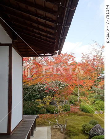 京都の紅葉を巡る 源光庵 京都の紅葉を巡る 源光庵 77781144