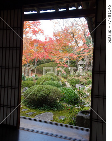 京都の紅葉を巡る 源光庵 京都の紅葉を巡る 源光庵 77781145