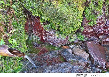 【手野の名水】 熊本県阿蘇市一の宮町手野 77782008