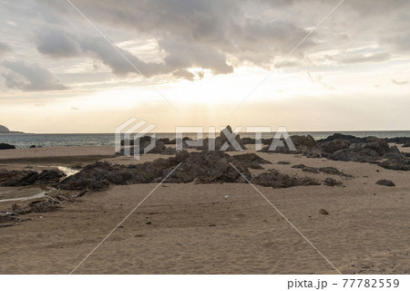 奄美大島の手広海岸 77782559