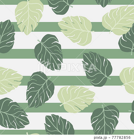 Doodle seamless random abstract pattern with botanic simple monstera leaf ornament. Striped background. Doodle seamless random abstract pattern with botanic simple monstera leaf ornament. Striped background. 77782856