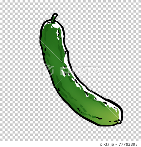 Realistic cucumber illustration 77782895
