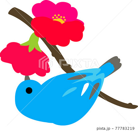 花の蜜を吸う小鳥 花の蜜を吸う小鳥 77783219