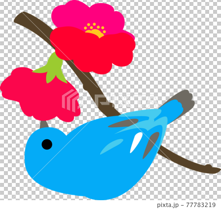 花の蜜を吸う小鳥 花の蜜を吸う小鳥 77783219