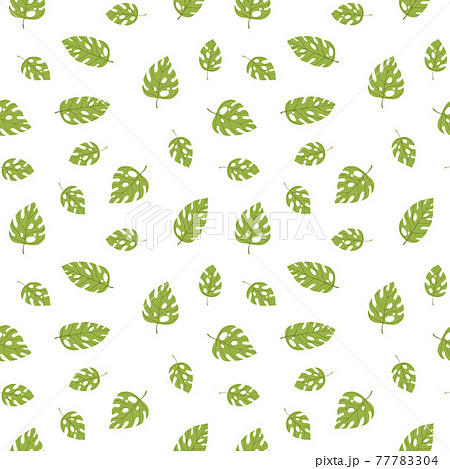Floral seamless with hand drawn color exotic monstera leaves. Cute summer background. Tropic green branches. Modern floral compositions. Fashion vector illustration for wallpaper, fabric, textile Floral seamless with hand drawn color exotic monstera leaves. Cute summer background. Tropic green branches. Modern floral compositions. Fashion vector illustration for wallpaper, fabric, textile 77783304