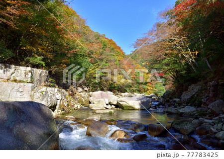 奥津渓の紅葉（岡山県苫田郡） 77783425