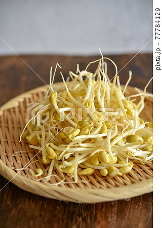 もやし もやし 77784129