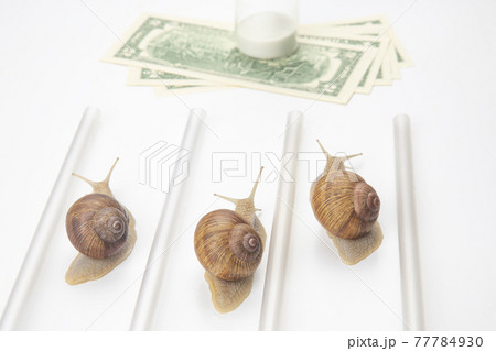 snails run to the finish line with money. breakthrough and perseverance in the business. snails run to the finish line with money. breakthrough and perseverance in the business. 77784930