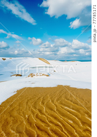 鳥取砂丘 の雪景色 77785171