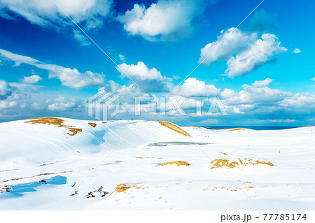 鳥取砂丘 の雪景色 77785174