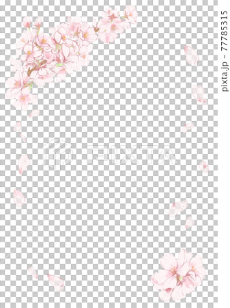桜が舞う水彩イラストの縁 77785315