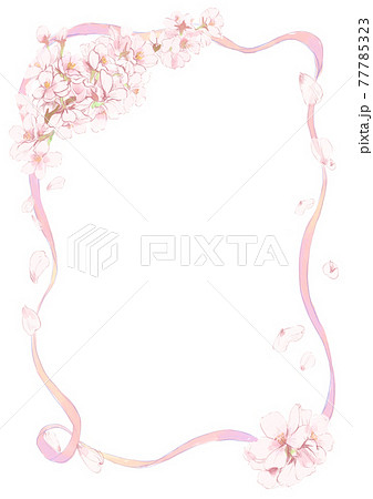 舞う桜とリボンの水彩イラストフレーム(ピンク) 77785323