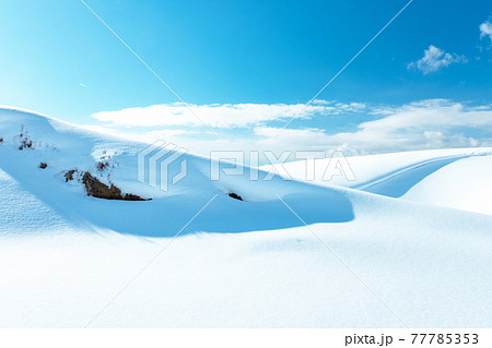 雪の造形 (鳥取砂丘) 雪の造形 (鳥取砂丘) 77785353