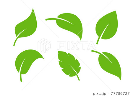 Leaf vector icon logo. Vegan leaves green eco flat herbal icon simple shape Leaf vector icon logo. Vegan leaves green eco flat herbal icon simple shape 77786727