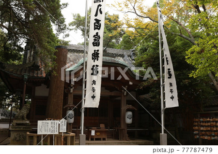 愛知県蒲郡市の竹島にある「八百富神社の拝殿」 77787479
