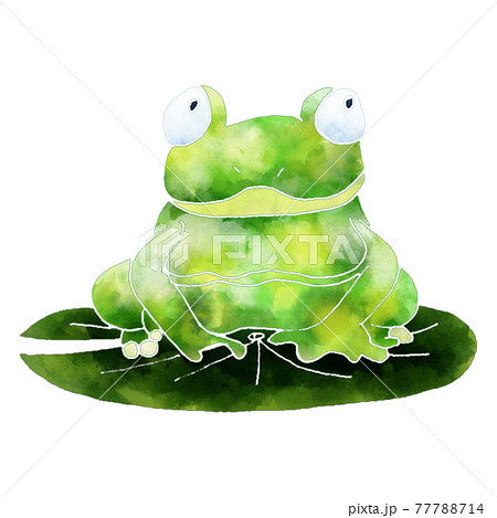 水彩風かえるのイラストのイラスト素材