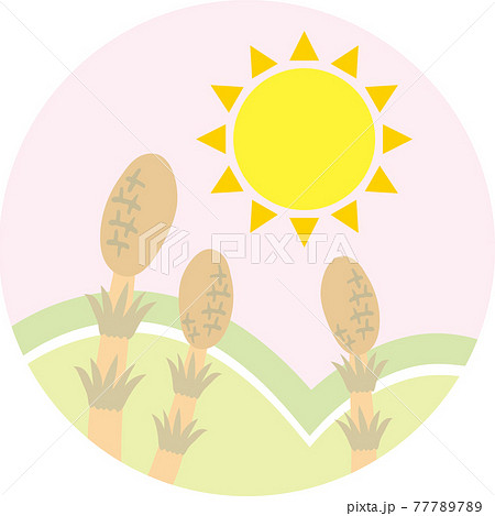 ツクシと太陽 77789789