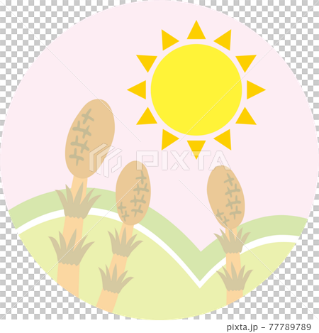 ツクシと太陽 77789789
