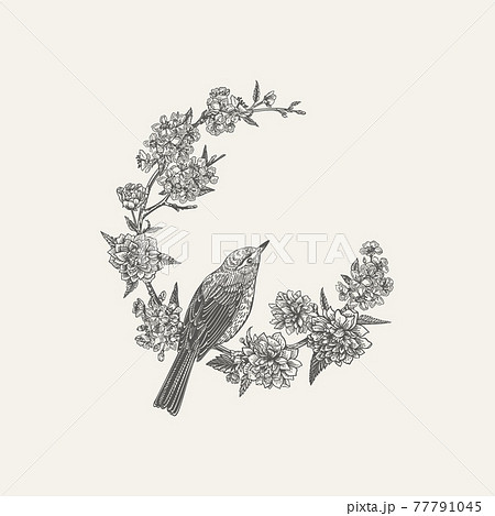 Floral round frame with bird. 77791045
