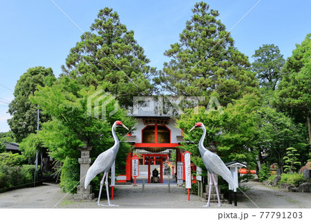 箱崎八幡神社 77791203