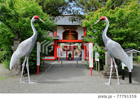 箱崎八幡神社 箱崎八幡神社 77791359