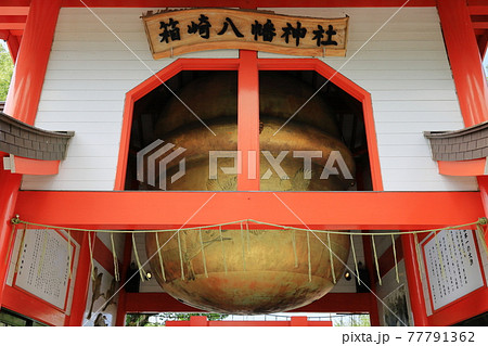 箱崎八幡神社 77791362