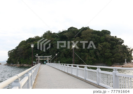 愛知県蒲郡市の三河湾に浮かぶ「竹島」 77791604