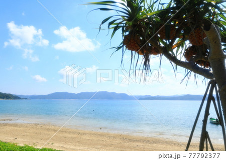 奄美大島の南の島らしい青い海が綺麗な風景 奄美大島の南の島らしい青い海が綺麗な風景 77792377