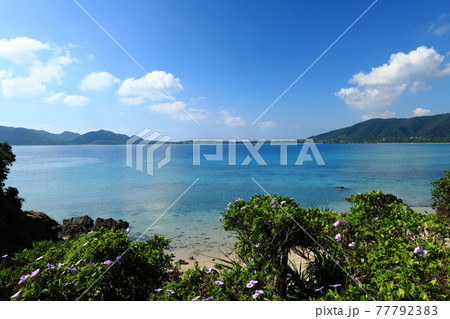 奄美大島倉崎海岸の青い海が綺麗な南国らしい景色の写真素材