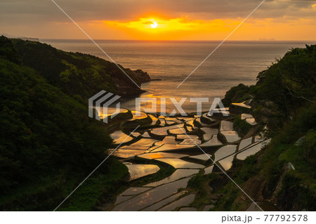 佐賀県 浜野浦の棚田 夕日 佐賀県 浜野浦の棚田 夕日 77792578