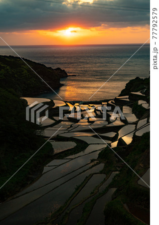 佐賀県 浜野浦の棚田 夕日 佐賀県 浜野浦の棚田 夕日 77792579