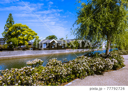 朝の半田運河蔵のまち 愛知県半田市 朝の半田運河蔵のまち 愛知県半田市 77792726