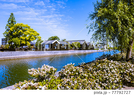 朝の半田運河蔵のまち 愛知県半田市 朝の半田運河蔵のまち 愛知県半田市 77792727