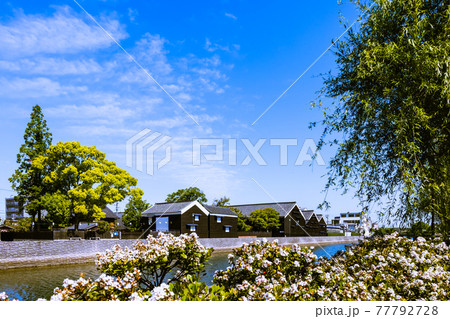 朝の半田運河蔵のまち 愛知県半田市 朝の半田運河蔵のまち 愛知県半田市 77792728