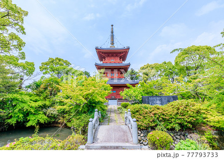 豊前国分寺 三重塔　福岡県京都郡 77793733