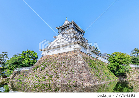 初夏の小倉城 福岡県北九州市 初夏の小倉城 福岡県北九州市 77794393