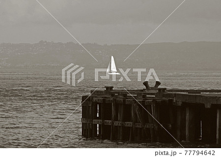 海 海事 海軍 77794642