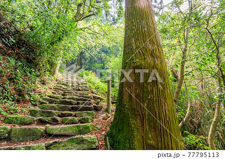 宝満山登山道　100段ガンギ　福岡県太宰府市 77795113