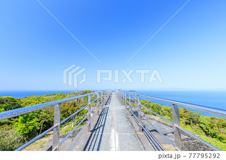鶴御崎自然公園　展望ブリッジ　大分県佐伯市 77795292